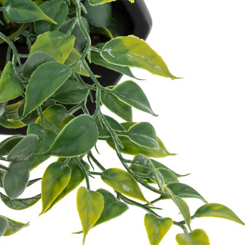Plante Artificielle Suspendue Ayame Pot Noir H14cm