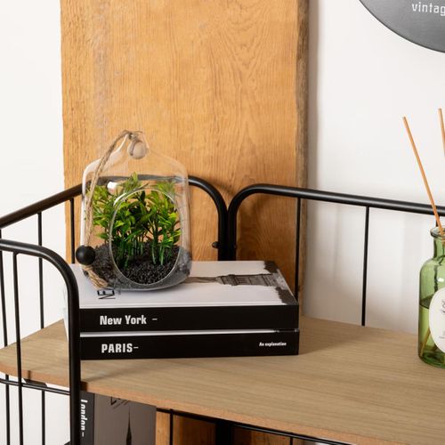 Plante Artificielle Terrarium à Suspendre En Verre H 15 Cm