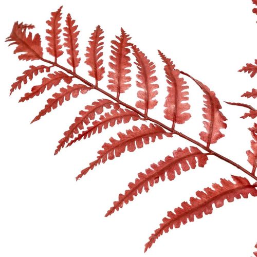 Tige Artificielle Fougère "james" 90cm Rouge