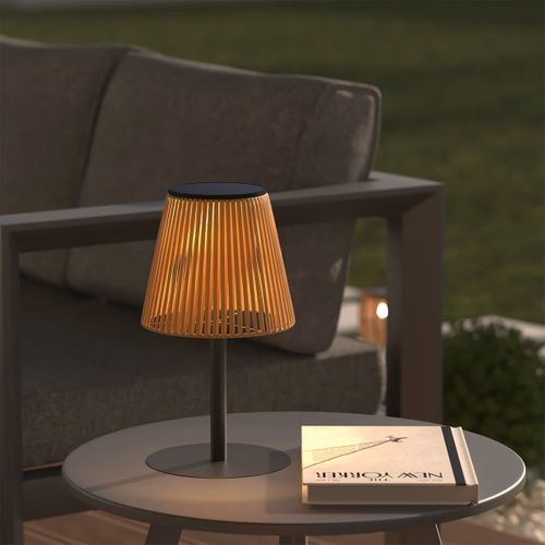 Lampe D'extérieur LED Rechargeable USB Ou Solaire Base Acier Noir D 16 X H 30 Cm