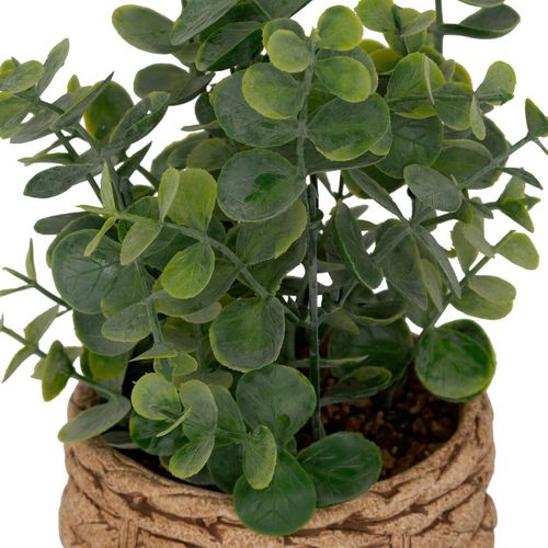Eucalyptus Artificiel En Pot "jaye" 27cm Vert