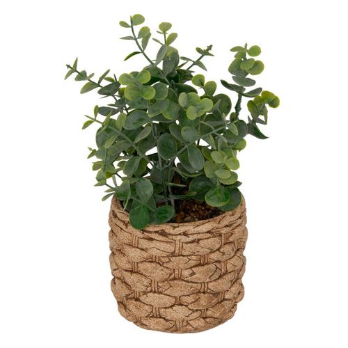 Eucalyptus Artificiel En Pot "jaye" 27cm Vert