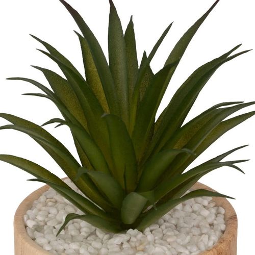 Plante Artificielle En Pot "sao" 17cm Marron