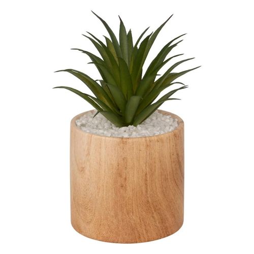 Plante Artificielle En Pot "sao" 17cm Marron
