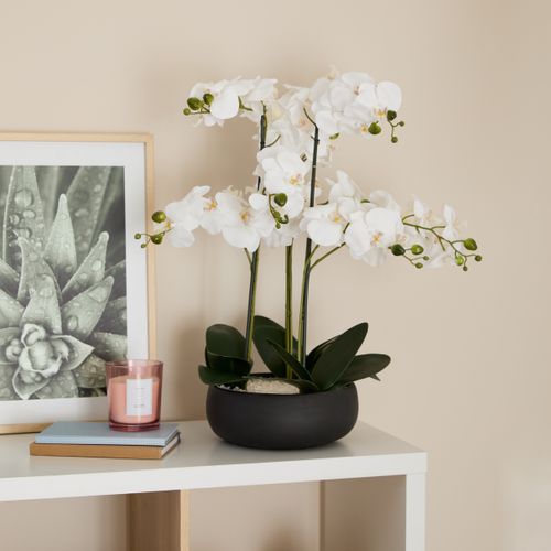 Orchidée pot céramique SANAE Noir