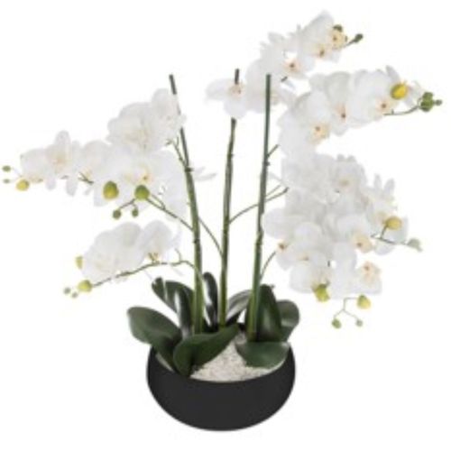 Orchidée pot céramique SANAE Noir