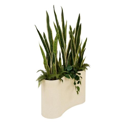 Sansevieria Artificielle En Pot "sky" 163m Vert et Beige