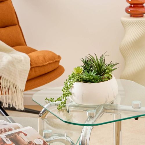 Plante Grasse Artificielle "jesty" 21cm Multicolore