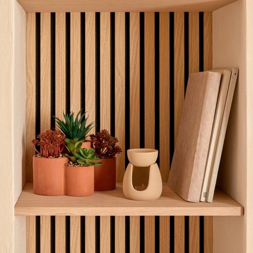 Plantes Grasses Artificielles En Pot "wonj" 22cm Terracotta