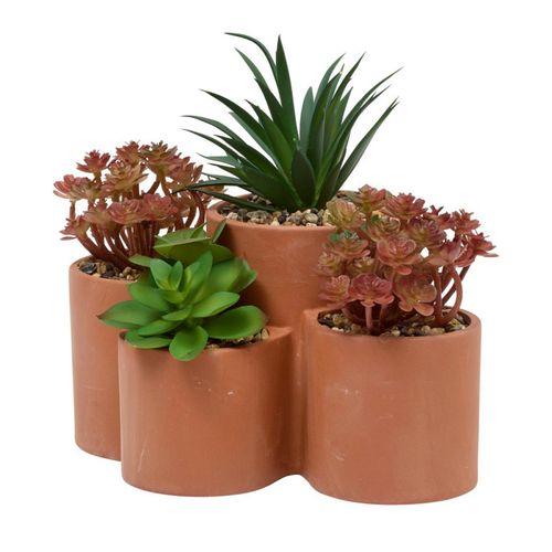 Plantes Grasses Artificielles En Pot "wonj" 22cm Terracotta