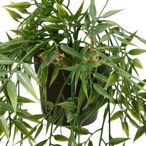 Plante Artificiellle Suspendue Liora 10x10cm