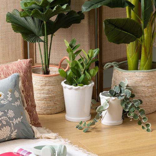 Lot De 2 Cache-pots "wild" H21/16cm