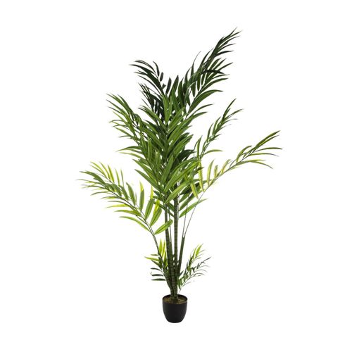 Palmier H.230 cm ARECA Vert