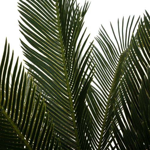 Plante Artificielle Ananas En Pot H 90 Cm