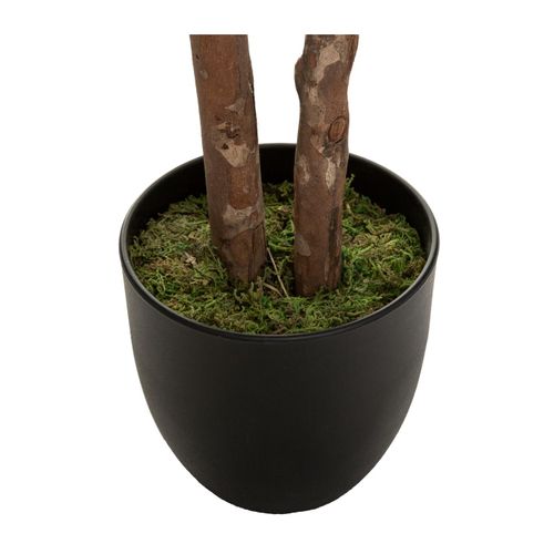 Plante Artificielle Schefflera En Pot  H 135 Cm