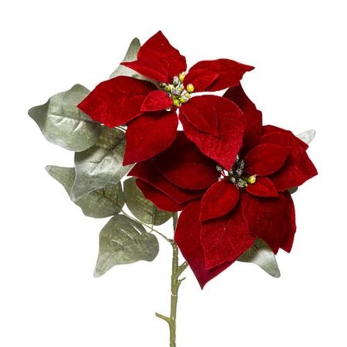 Poinsettia tige H. 78 cm  Rouge
