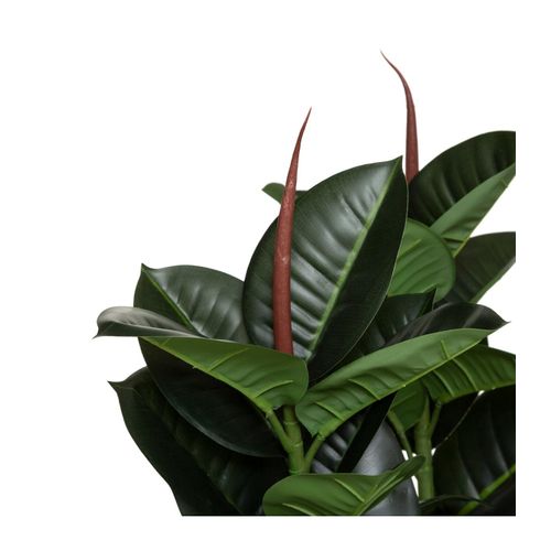 Plante Artificielle Ficus Robusta En Pot H 120 Cm
