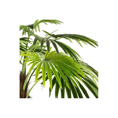 Plante Artificielle Déco "palmier" 180cm Vert