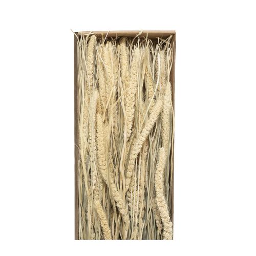 Bouquet De Fleurs Séchées H 60 Cm