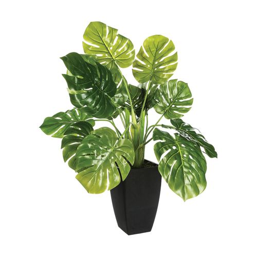 Plante Artificielle Philodendron En Pot H 70 Cm