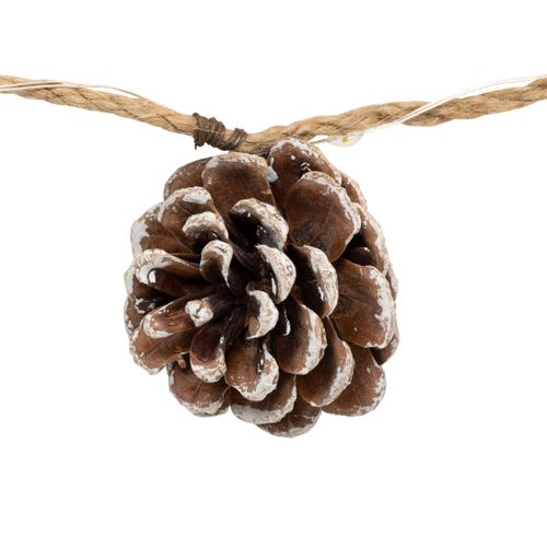 Guirlande Lumineuse Intérieur Déco Nature 20 LED Blanc Chaud L 220 Cm