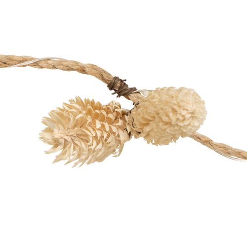 Guirlande Lumineuse Intérieur Déco Nature 20 LED Blanc Chaud L 220 Cm