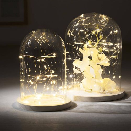 Cloche Verre Et Bois - Transparent - H29 - 5 Cm