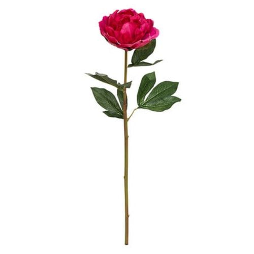 Tige Pivoine  H. 68 cm - Rose ou blanc