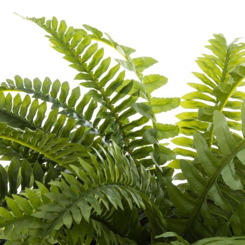 Plante Artificielle Fougères En Pot H 55 Cm