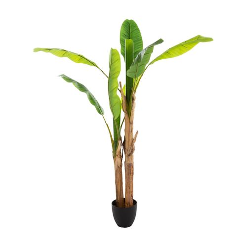 Grand Bananier Double Artificiel H 160 M