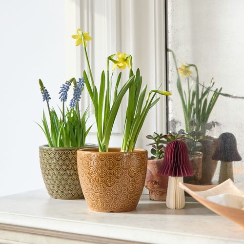 Cache-pot motifs D. 14 cm ARAN Divers modèles