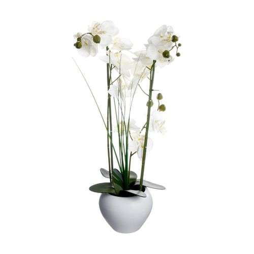 Plante Artificielle Orchidée Dans Un Pot En Céramique Blanche H 53 Cm