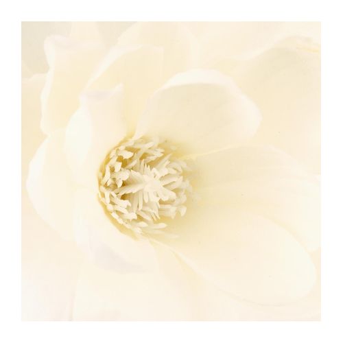 Composition Florale Artificielle Magnolias Blanc Vase En Céramique H 73 Cm