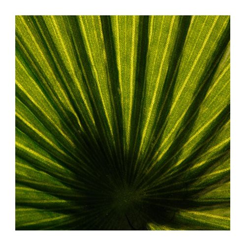 Plante Artificielle Palmier En Pot H 180 Cm