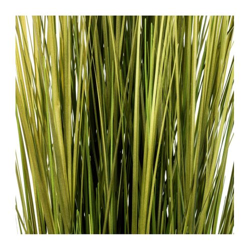 Fagot D'herbe D14xh100