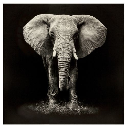 Toile imprimée 100x100 cm ATMOSPHERA Noir et blanc