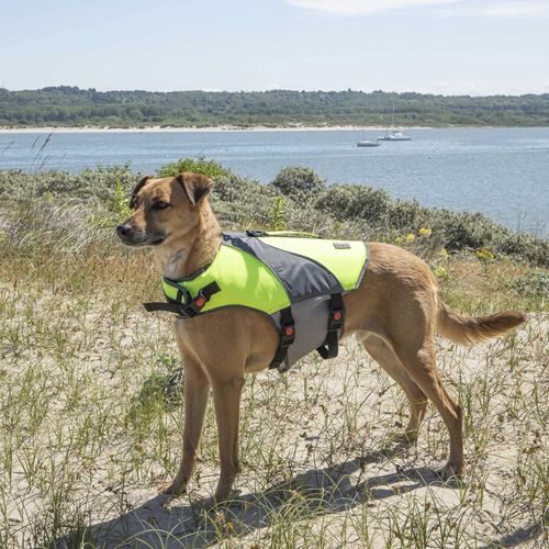 Gilet De Flottaison Pour Chien "réfléchissant" 54cm Jaune