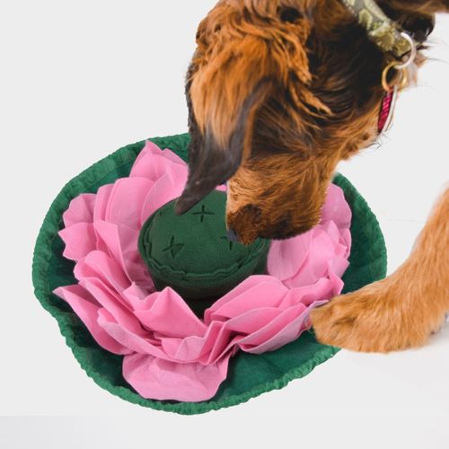 Tapis De Fouille Ventouse "lotus" 45cm Rose et Vert