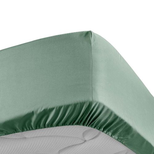 Drap Housse "percaline" 160x200cm Tilleul