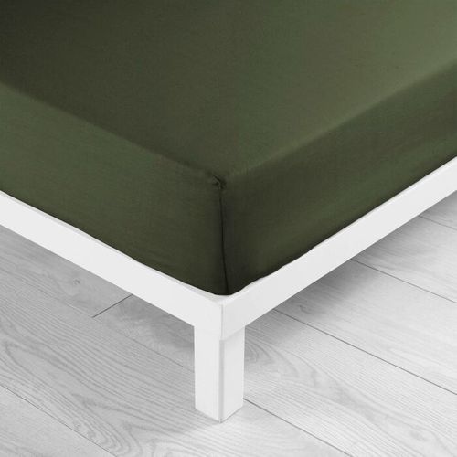 Drap Housse Microfibre Oscar Kaki 140x190 Cm
