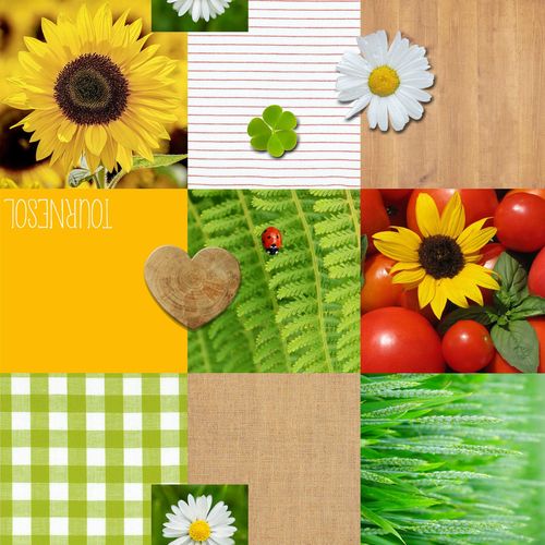 Nappe Toile Cirée "patchfleur" 140x240cm Multicolore