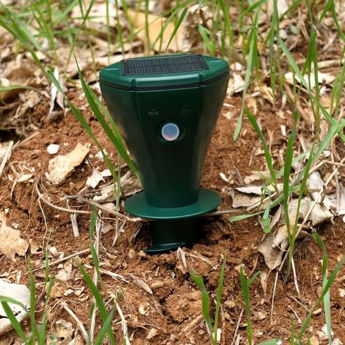 Répulsif Taupes Solaire Étanche Avec Vibrations Et Fréquences Variables Pour Jardin