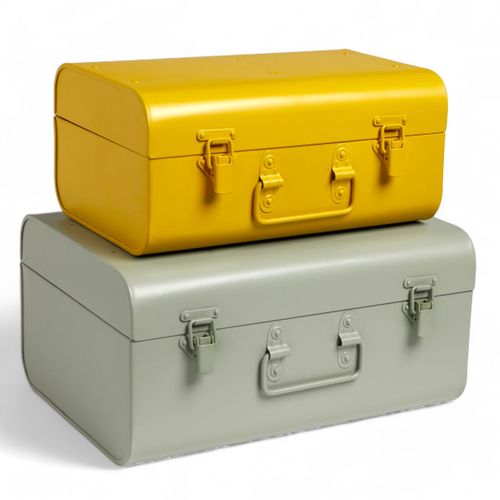 Lot De 2 Caisses En Métal Le Roi De La Jungle Sauge