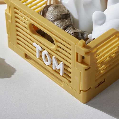 Caisse Pliable En Plastique Le Roi De La Jungle Ocre