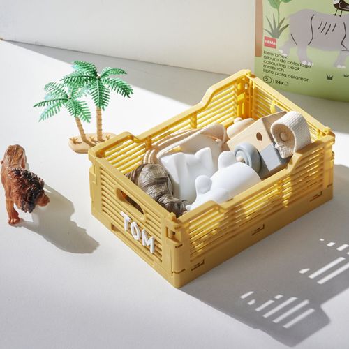 Caisse Pliable En Plastique Le Roi De La Jungle Ocre