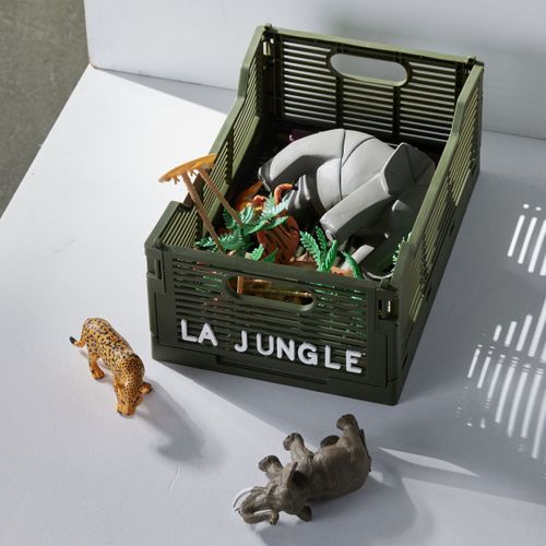 Caisse Pliable En Plastique Le Roi De La Jungle Vert