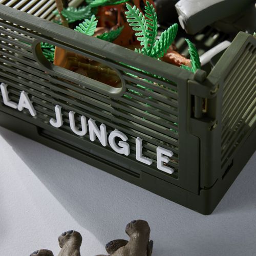 Caisse Pliable En Plastique Le Roi De La Jungle Vert