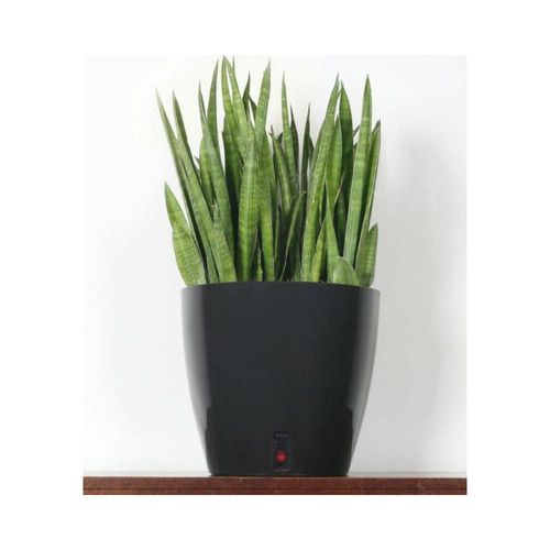 Pot En Plastique Rond Avec Réserve D'eau 35 Cm Eva Blanc