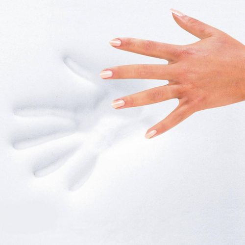 Surmatelas En Mousse À Mémoire De Forme 160x200 cm 5 Zones Perform Sélenia