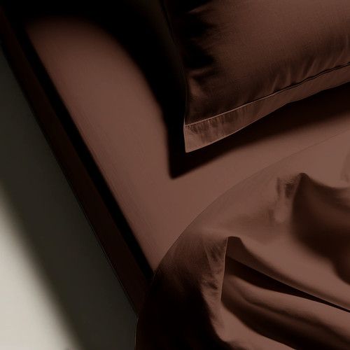 Drap Plat Coton Chocolat - 270 X 300 cm